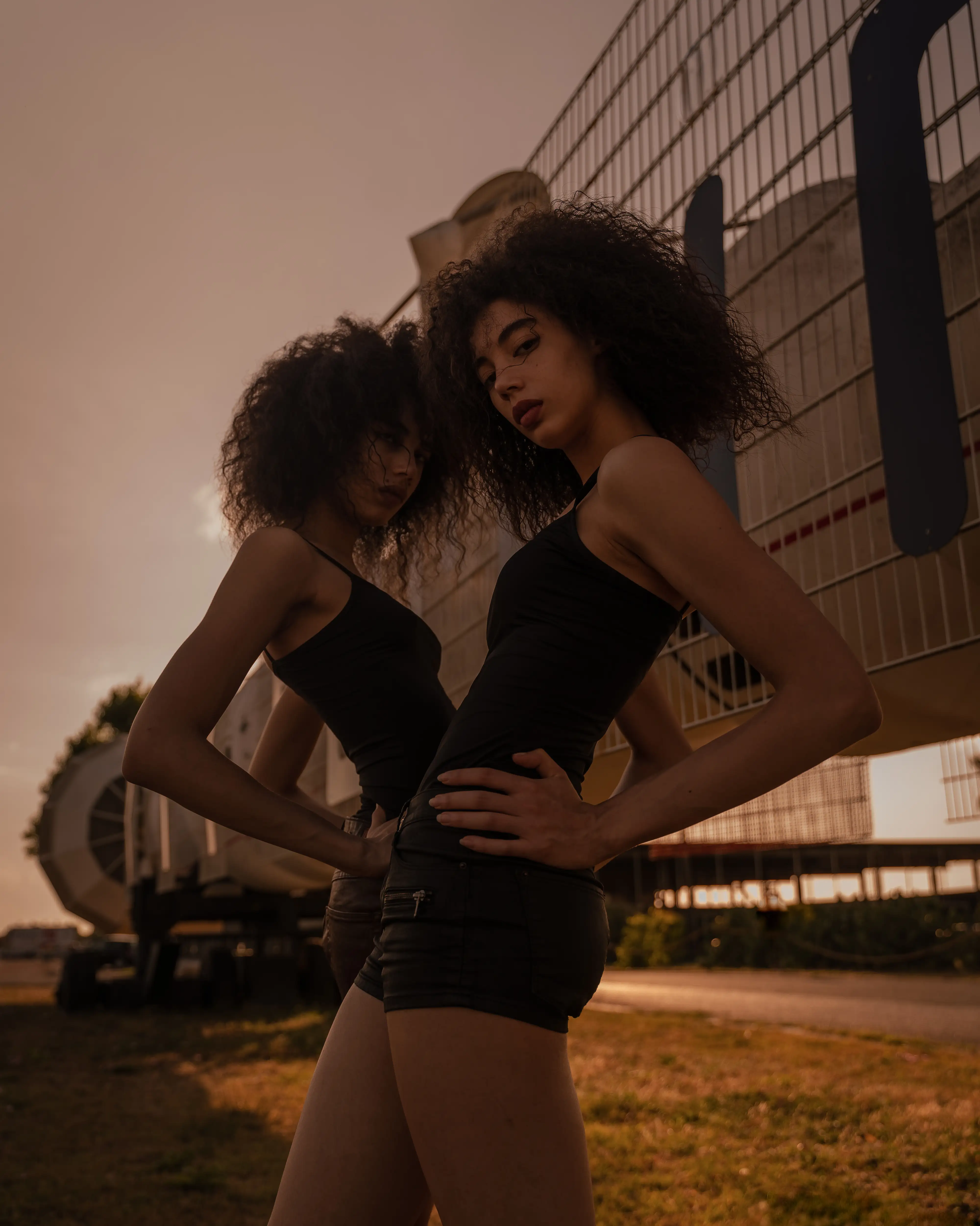 Twins 6